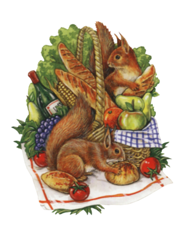 Transparent Blog Squirrel Autumn Food Vegetable for Thanksgiving