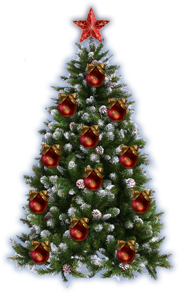 Transparent Christmas Christmas Tree Picture Frames Fir Pine Family for Christmas
