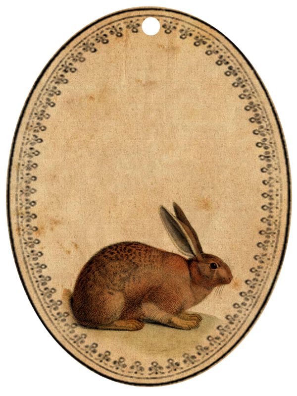 Transparent Easter Bunny Easter Vintage Clothing Hare Rabbit for Easter