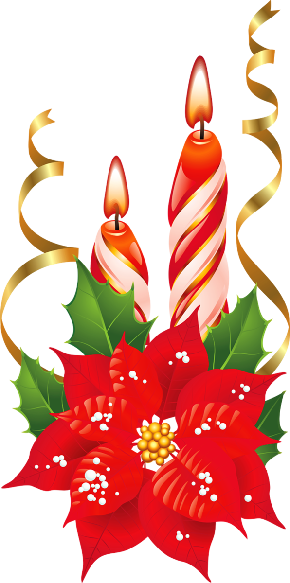 Transparent Poinsettia Christmas Candy Cane Christmas Decoration Flower for Christmas
