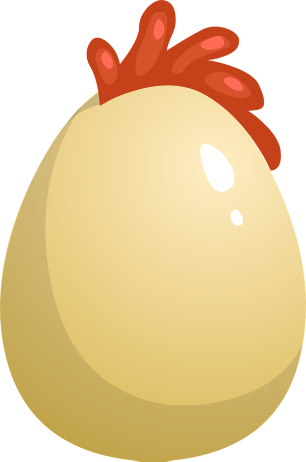Transparent Chicken Fried Egg Egg Food Easter Egg for Easter