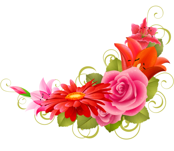 Transparent Greeting Note Cards New Year Wish Pink Plant for Diwali