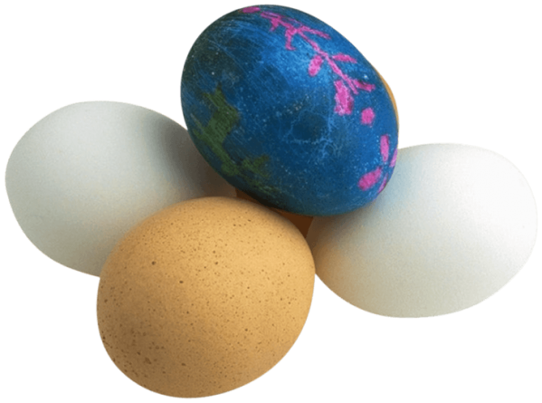 Transparent Easter Egg Easter Egg for Easter