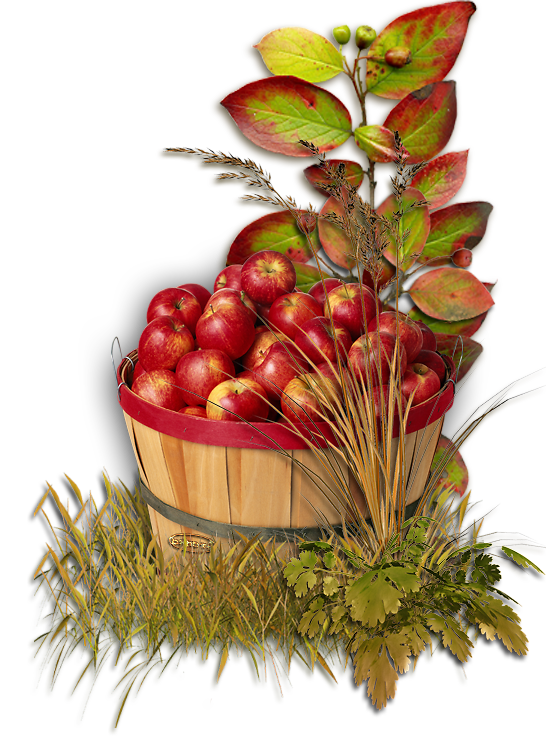 Transparent Apple Autumn Fruit Food for Thanksgiving