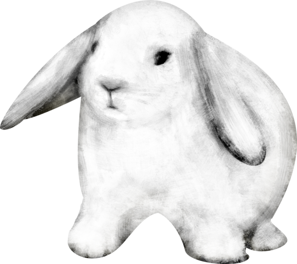 Transparent Easter Bunny Hare Rabbit Black And White for Easter