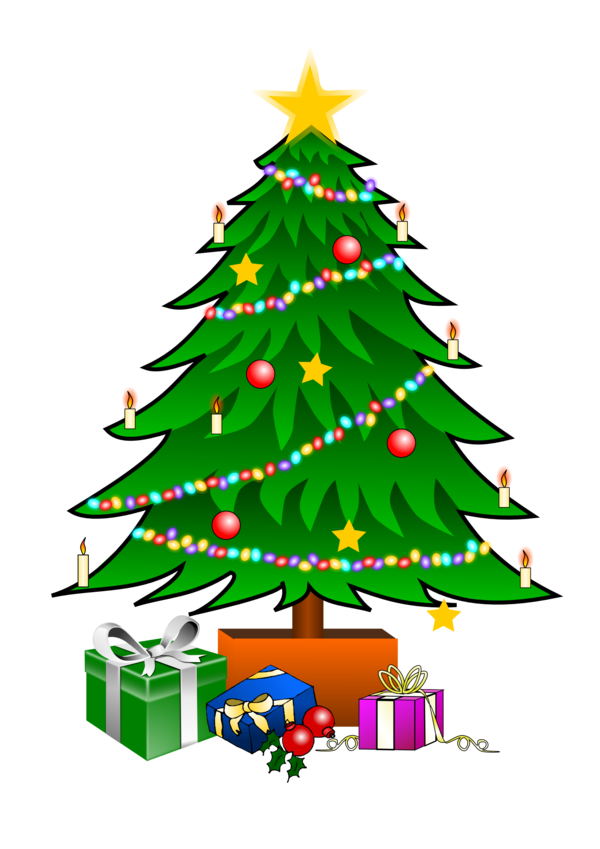 Transparent Christmas Tree Gift Christmas Fir Pine Family for Christmas