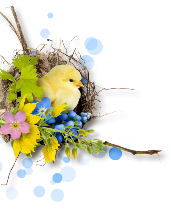 Transparent Easter Bird Easter Egg Flower Branch for Easter