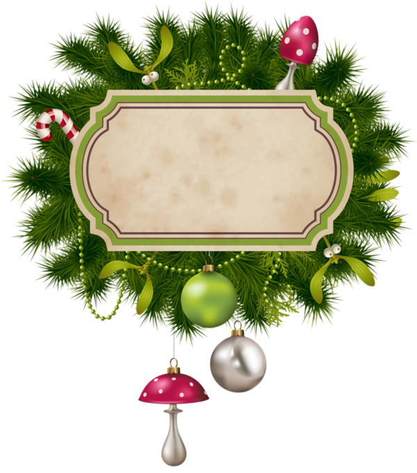 Transparent Christmas Blog Gift Fir Pine Family for Christmas