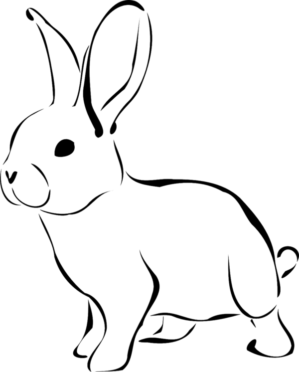 Transparent Easter Bunny Rabbit Hare Line Art for Easter