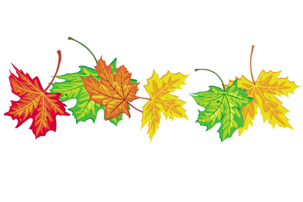 Transparent Autumn School Personal Web Page Plant Leaf for Thanksgiving