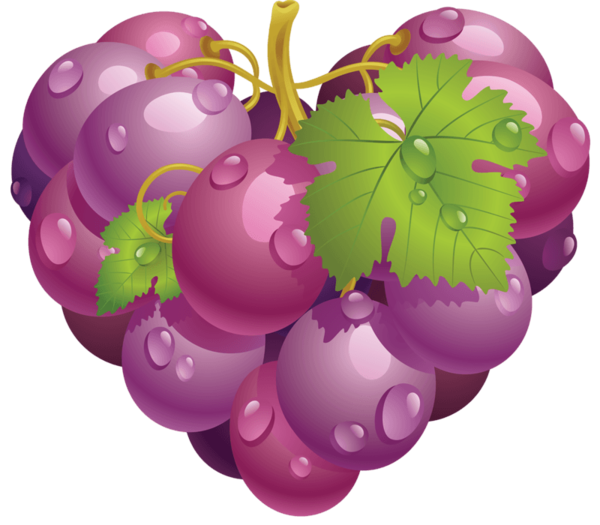 Transparent Wine Common Grape Vine Grape Pink Plant for Thanksgiving