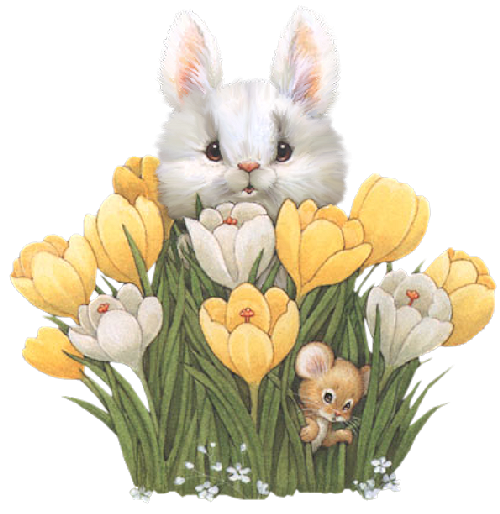 Transparent Animation Morning Blog Plant Flower for Easter