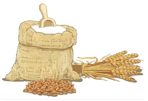 Transparent Wheat Flour Wheat Cereal Grass Family Vegetarian Food for Thanksgiving