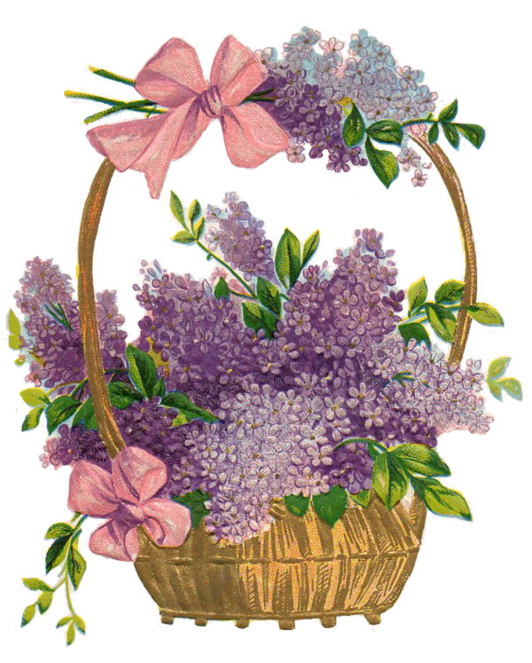 Transparent Basket Easter Basket Flower Plant for Easter
