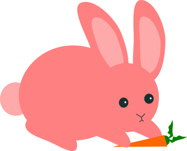 Transparent Rabbit Hare Easter Bunny Pink for Easter
