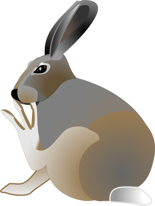 Transparent Easter Bunny Arctic Hare Drawing Hare Rabbit for Easter