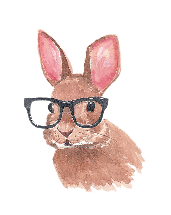 Transparent Lionhead Rabbit Easter Bunny Rabbit Pink Hare for Easter