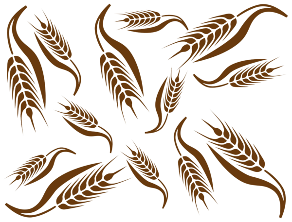 Transparent Common Wheat Ear Cereal Wildlife Wing for Thanksgiving