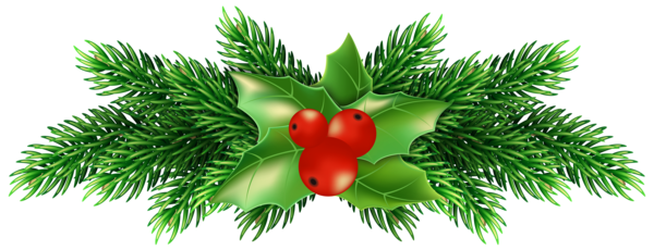 Transparent Common Holly Christmas A Christmas Carol Fir Evergreen for Christmas