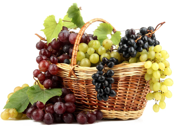 Transparent Grape Basket Common Grape Vine Seedless Fruit Grape Seed Extract for Thanksgiving