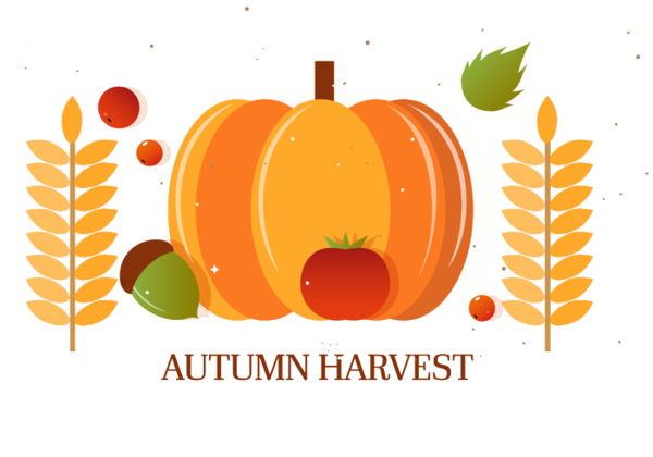 Transparent Pumpkin Autumn Harvest Vegetable Food for Thanksgiving