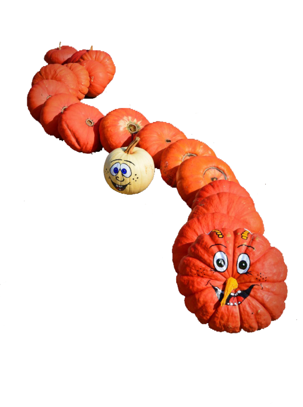 Transparent Snake Calabaza Winter Squash Stuffed Toy for Thanksgiving