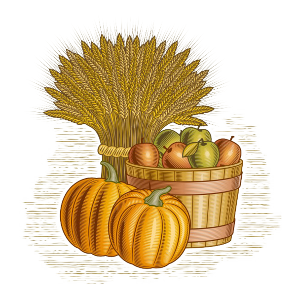 Transparent Harvest Farm Cartoon Vegetarian Food Commodity for Thanksgiving