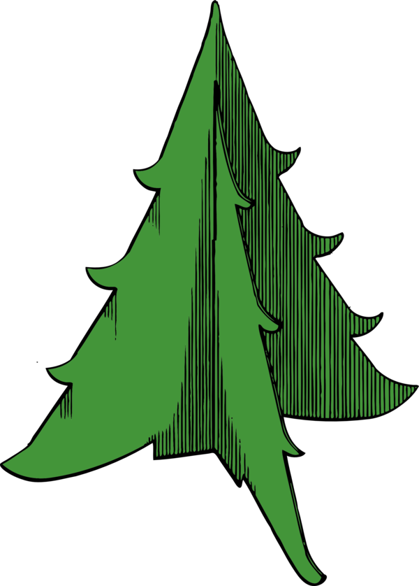 Transparent Christmas Christmas Tree Christmas Card Fir Pine Family for Christmas