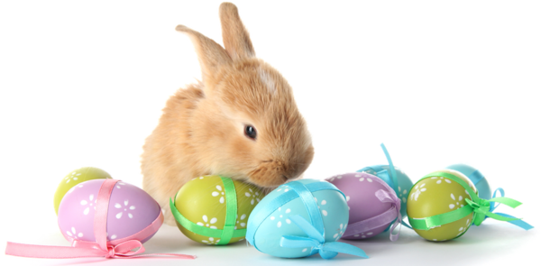 Transparent Android Easter Cake Easter Easter Egg for Easter
