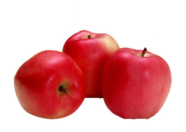 Transparent Nagano Apple Fruit Malpighia for Thanksgiving