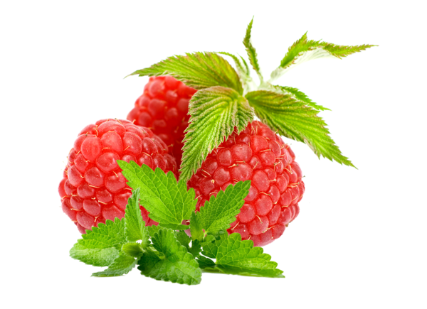Transparent Raspberry Fruit Berry Superfood West Indian Raspberry for Thanksgiving