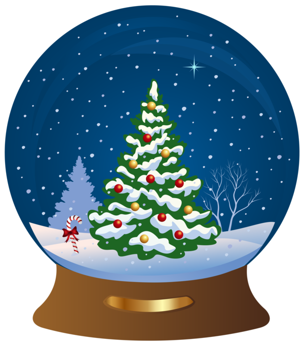 Transparent Christmas Snow Globes Christmas Tree Fir Pine Family for Christmas