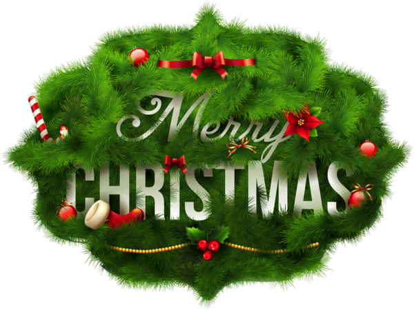 Transparent Christmas Christmas Tree Christmas Decoration Evergreen Fir for Christmas