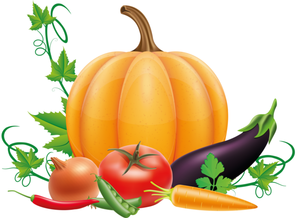 Transparent Drawing Vegetable Pumpkin Natural Foods for Thanksgiving