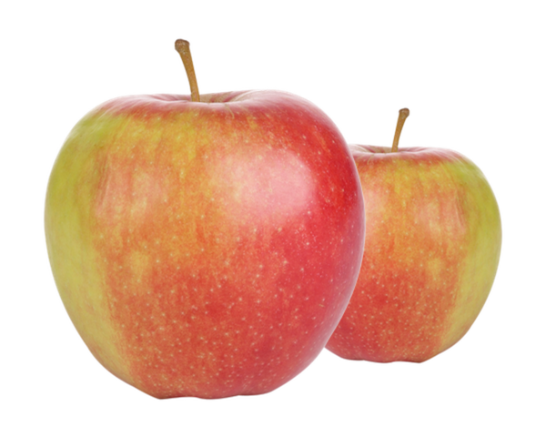 Transparent Apple Jonagold Fuji Fruit for Thanksgiving