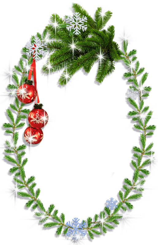 Transparent Christmas Christmas Ornament Christmas Decoration Evergreen Pine Family for Christmas