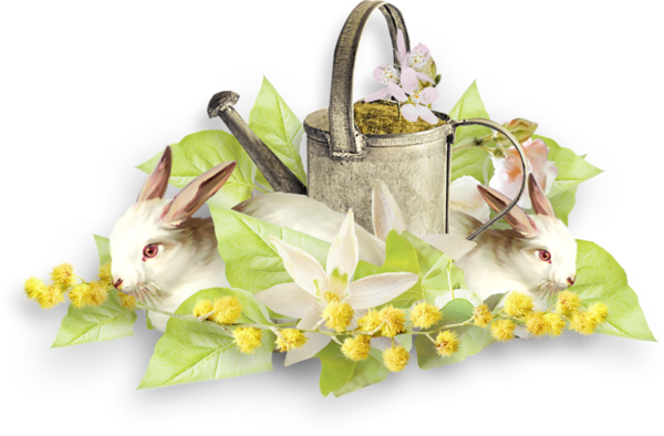 Transparent Easter Blog Tapuz Flower Rabbit for Easter