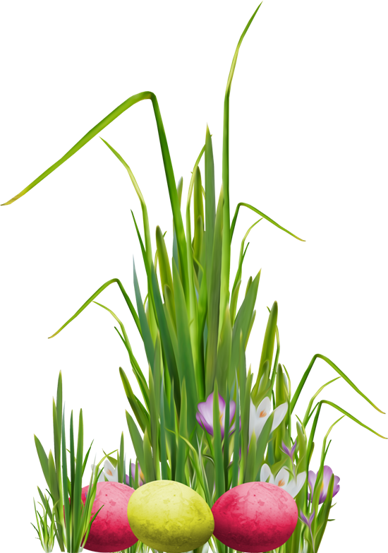 Transparent Flower Herbaceous Plant Lawn Plant for Easter