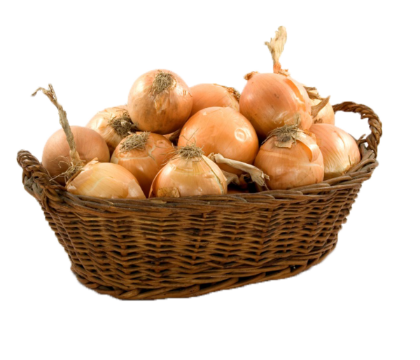 Transparent Onion Calabaza Vegetable Basket Food for Thanksgiving