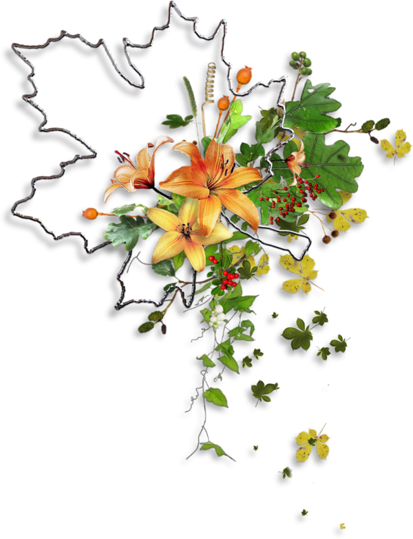 Transparent Floral Design Autumn Cut Flowers Plant Flora for Thanksgiving