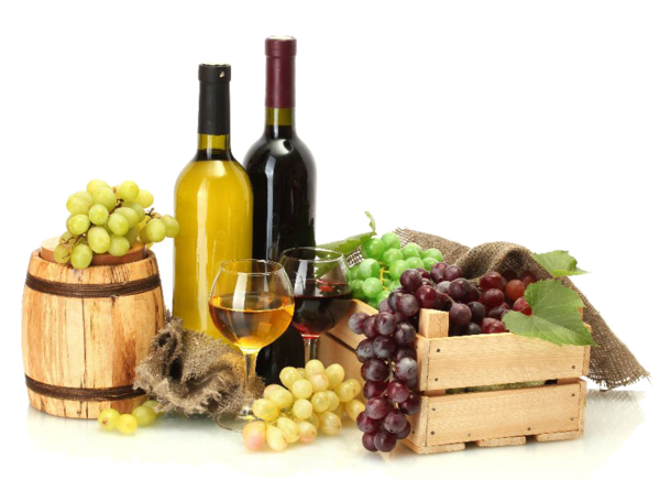 Transparent Common Grape Vine Wine White Wine Fruit Food for Thanksgiving