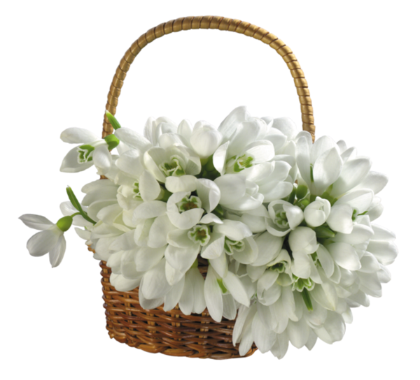 Transparent Flower Basket Flower Bouquet White for Easter