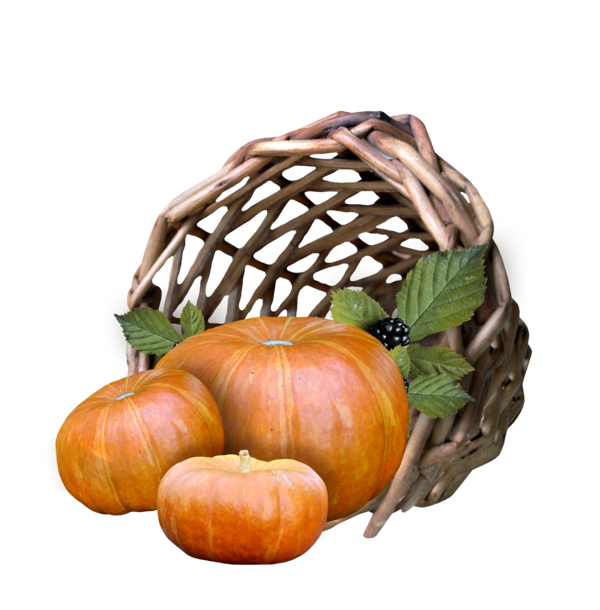 Transparent Pumpkin Calabaza Cucurbita Vegetarian Food Commodity for Thanksgiving