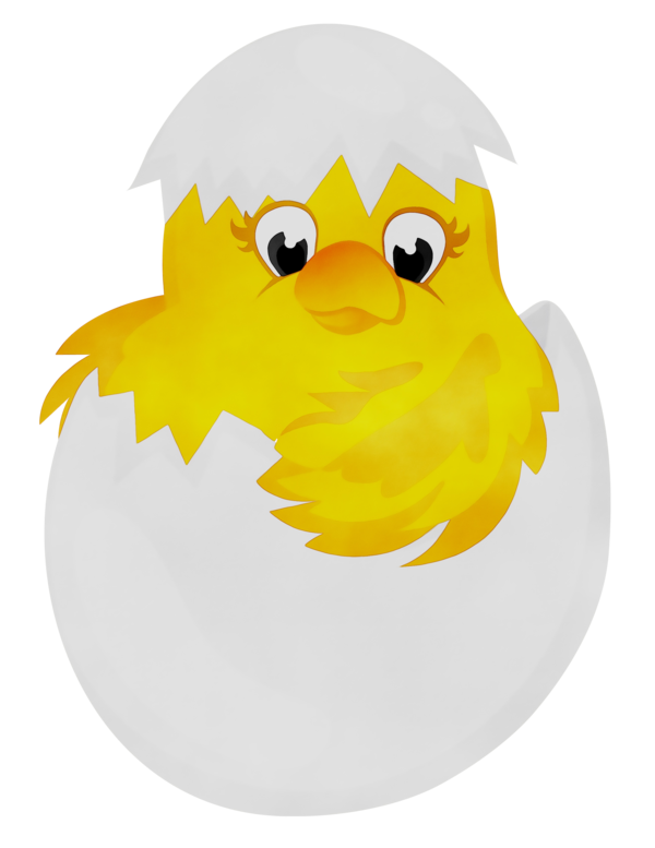 Transparent Chicken Egg Chicken Curry Cartoon Yellow for Easter