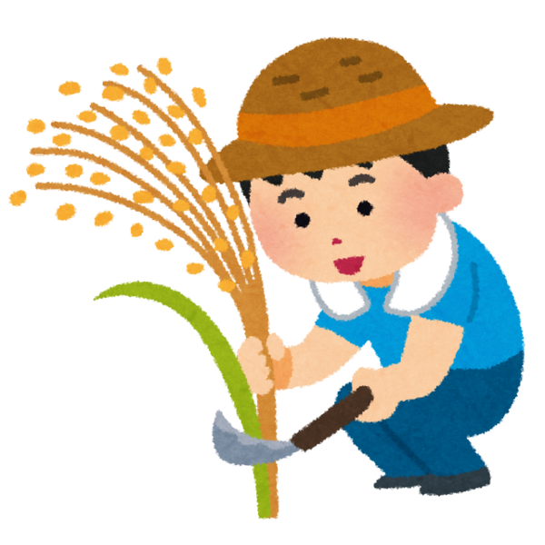Transparent Paddy Field Rice Agriculture Male Cartoon for Thanksgiving