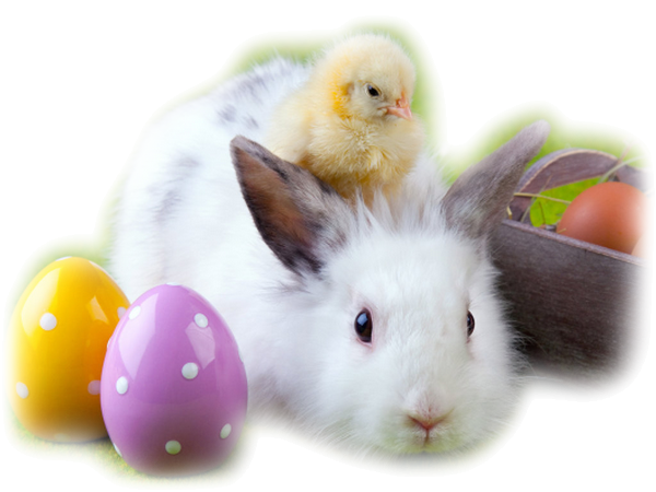 Transparent Easter Bunny Easter Egg Hunt Rabbit for Easter