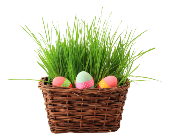 Transparent Easter Bunny Easter Easter Egg Grass Family Commodity for Easter