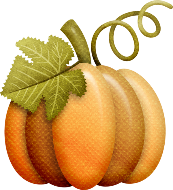 Transparent Gourd Autumn Harvest Natural Foods Fruit for Thanksgiving