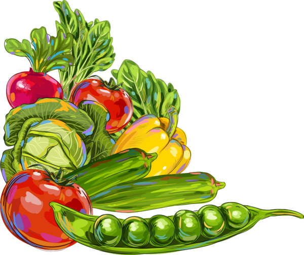 Transparent Vegetable Okra Fruit Vegetarian Food Peperoncini for Thanksgiving