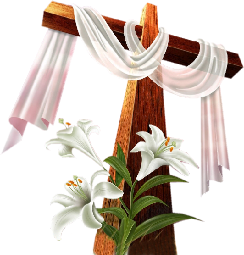 Transparent Easter Good Friday Christianity Flower Cut Flowers for Easter